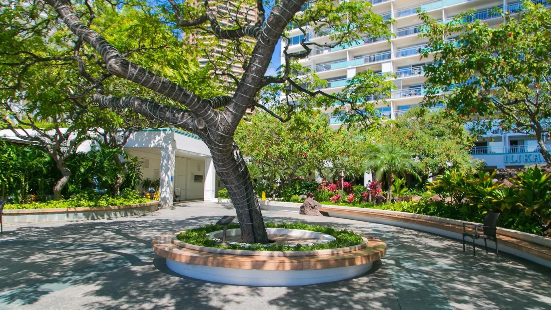 Ilikai Tower 1837 Yacht Harbor View 1Br Apartment Honolulu